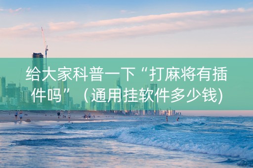 给大家科普一下“打麻将有插件吗”（通用挂软件多少钱)