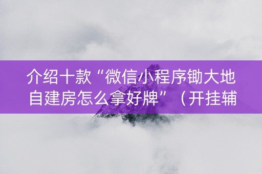 介绍十款“微信小程序锄大地自建房怎么拿好牌”（开挂辅助器插件)