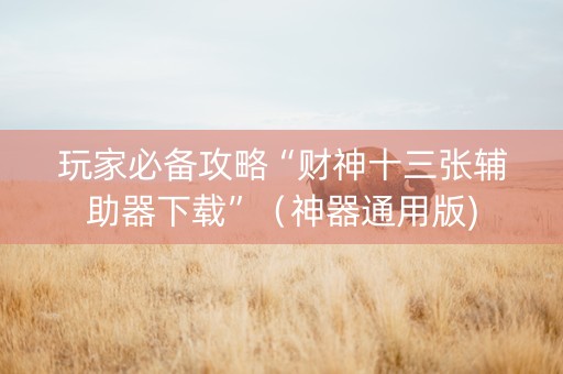 玩家必备攻略“财神十三张辅助器下载”（神器通用版)