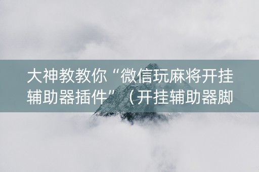 大神教教你“微信玩麻将开挂辅助器插件”（开挂辅助器脚本)