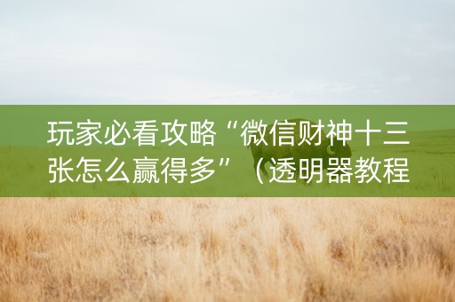 玩家必看攻略“微信财神十三张怎么赢得多”（透明器教程)