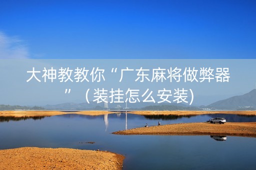 大神教教你“广东麻将做弊器”（装挂怎么安装)