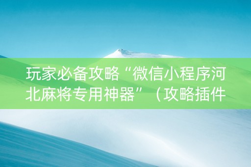 玩家必备攻略“微信小程序河北麻将专用神器”（攻略插件)