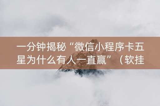 一分钟揭秘“微信小程序卡五星为什么有人一直赢”（软挂神器)