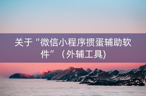 关于“微信小程序掼蛋辅助软件”（外辅工具)