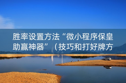 胜率设置方法“微小程序保皇助赢神器”（技巧和打好牌方法)