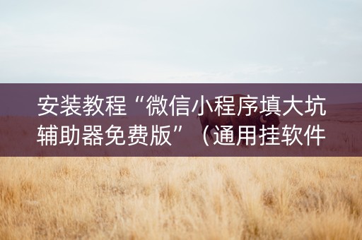 安装教程“微信小程序填大坑辅助器免费版”（通用挂软件多少钱)