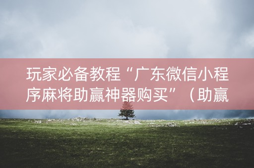 玩家必备教程“广东微信小程序麻将助赢神器购买”（助赢神器购买)