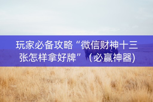 玩家必备攻略“微信财神十三张怎样拿好牌”（必赢神器)