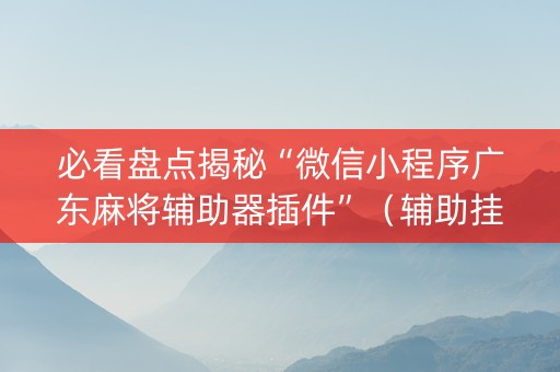 必看盘点揭秘“微信小程序广东麻将辅助器插件”（辅助挂发牌规律)