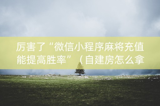 厉害了“微信小程序麻将充值能提高胜率”（自建房怎么拿好牌)