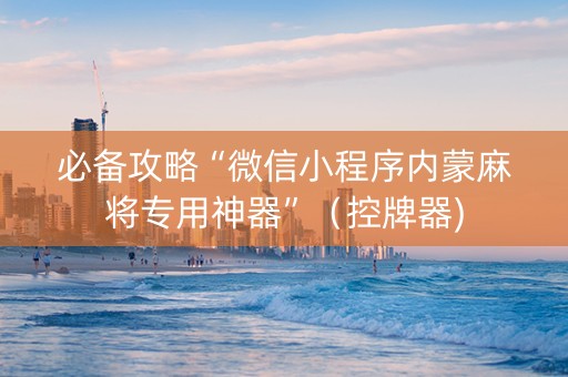 必备攻略“微信小程序内蒙麻将专用神器”（控牌器)
