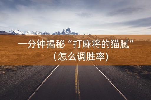 一分钟揭秘“打麻将的猫腻”（怎么调胜率)