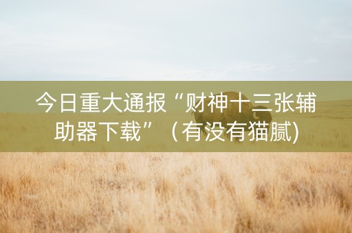 今日重大通报“财神十三张辅助器下载”（有没有猫腻)