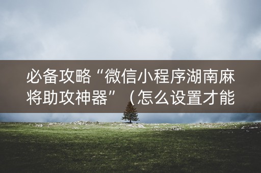 必备攻略“微信小程序湖南麻将助攻神器”（怎么设置才能赢)
