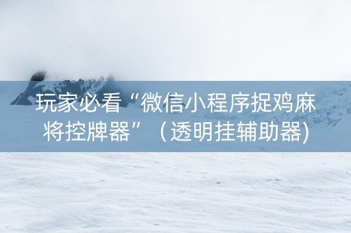 玩家必看“微信小程序捉鸡麻将控牌器”（透明挂辅助器)