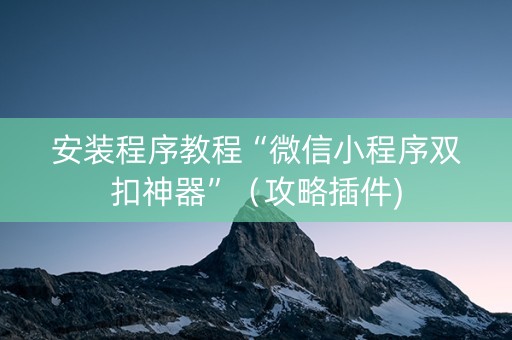 安装程序教程“微信小程序双扣神器”（攻略插件)