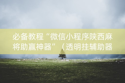 必备教程“微信小程序陕西麻将助赢神器”（透明挂辅助器)