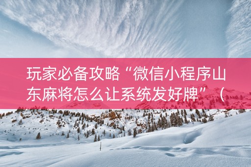 玩家必备攻略“微信小程序山东麻将怎么让系统发好牌”（攻略插件)
