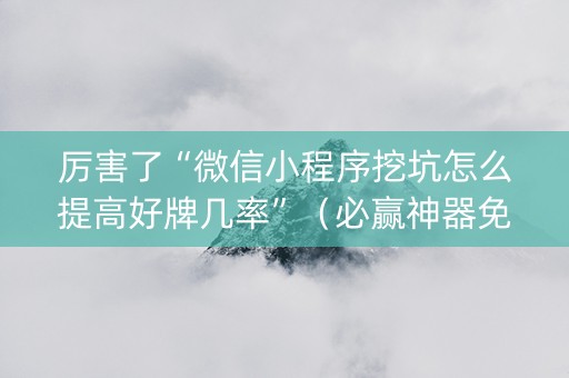 厉害了“微信小程序挖坑怎么提高好牌几率”（必赢神器免费安装)