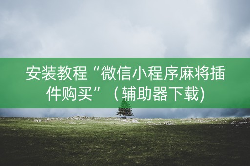 安装教程“微信小程序麻将插件购买”（辅助器下载)
