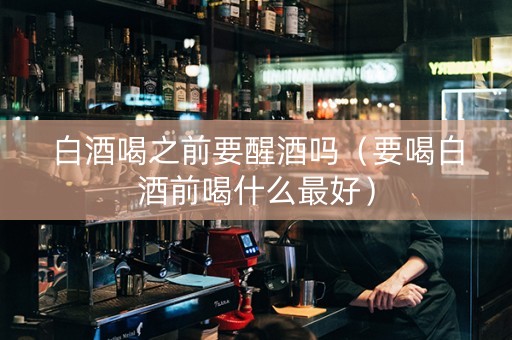 白酒喝之前要醒酒吗（要喝白酒前喝什么最好）