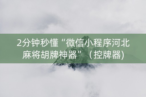 2分钟秒懂“微信小程序河北麻将胡牌神器”（控牌器)