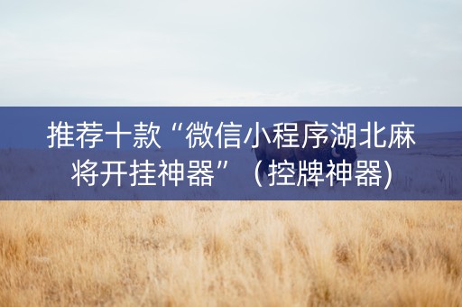 推荐十款“微信小程序湖北麻将开挂神器”（控牌神器)