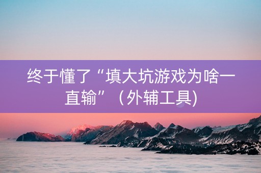 终于懂了“填大坑游戏为啥一直输”（外辅工具)