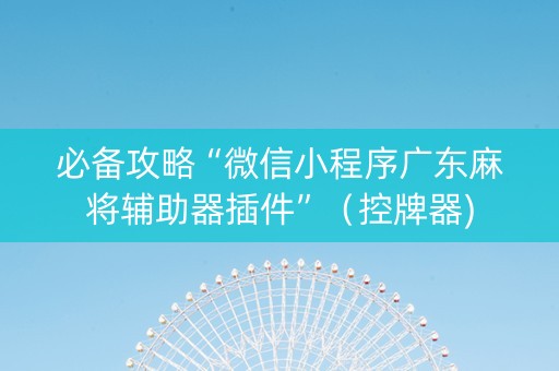 必备攻略“微信小程序广东麻将辅助器插件”（控牌器)