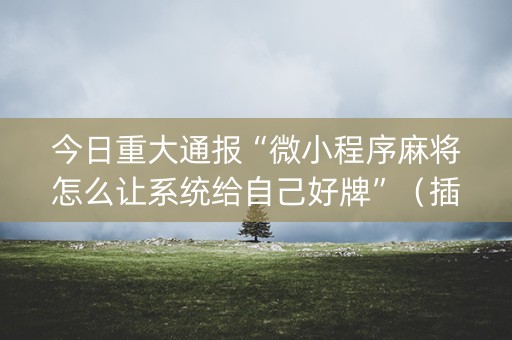 今日重大通报“微小程序麻将怎么让系统给自己好牌”（插件可信吗)