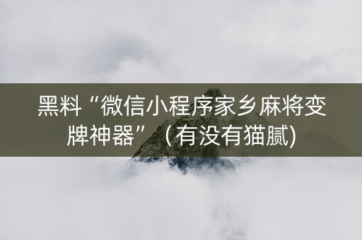 黑料“微信小程序家乡麻将变牌神器”（有没有猫腻)