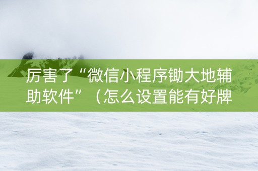 厉害了“微信小程序锄大地辅助软件”（怎么设置能有好牌)