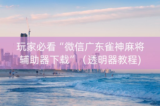 玩家必看“微信广东雀神麻将辅助器下载”（透明器教程)