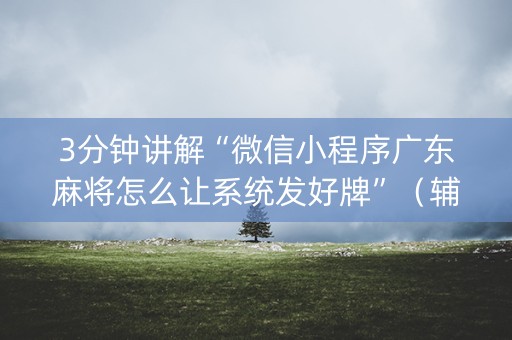 3分钟讲解“微信小程序广东麻将怎么让系统发好牌”（辅助器下载)