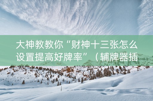 大神教教你“财神十三张怎么设置提高好牌率”（辅牌器插件购买)
