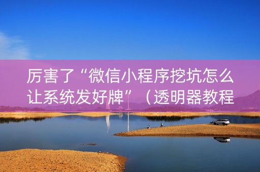厉害了“微信小程序挖坑怎么让系统发好牌”（透明器教程)