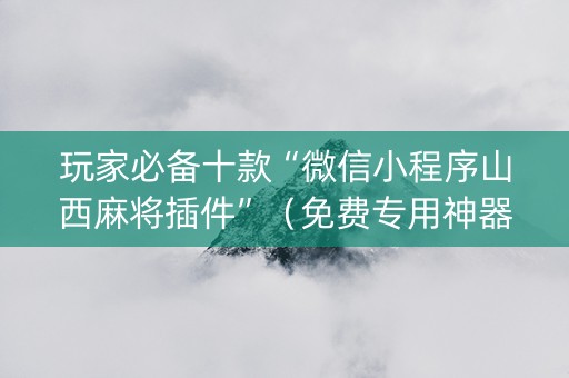 玩家必备十款“微信小程序山西麻将插件”（免费专用神器)