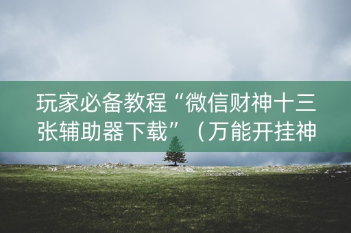玩家必备教程“微信财神十三张辅助器下载”（万能开挂神器)