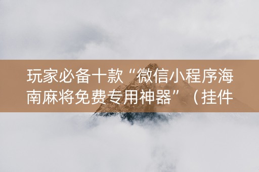 玩家必备十款“微信小程序海南麻将免费专用神器”（挂件神器)