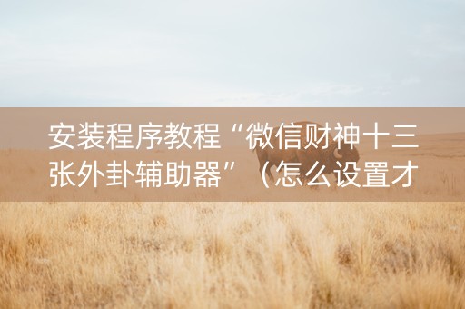 安装程序教程“微信财神十三张外卦辅助器”（怎么设置才能赢)