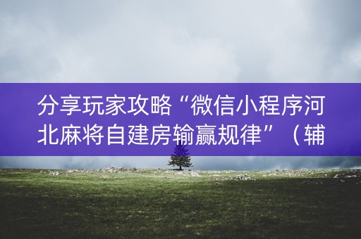 分享玩家攻略“微信小程序河北麻将自建房输赢规律”（辅助挂发牌规律)