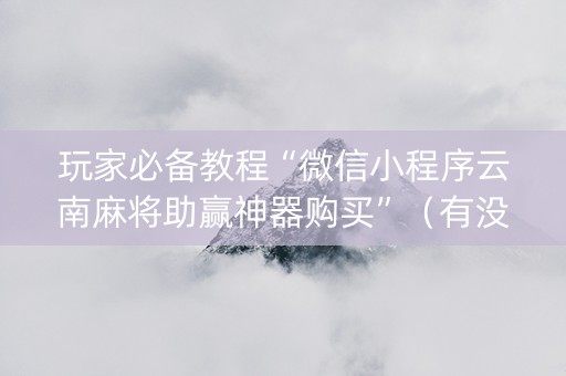 玩家必备教程“微信小程序云南麻将助赢神器购买”（有没有猫腻)