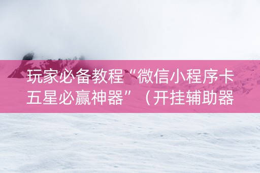玩家必备教程“微信小程序卡五星必赢神器”（开挂辅助器插件)