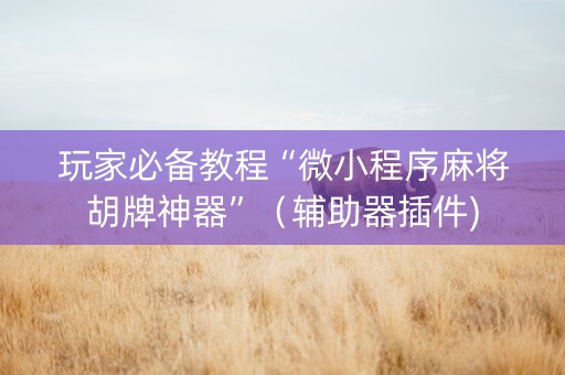 玩家必备教程“微小程序麻将胡牌神器”（辅助器插件)