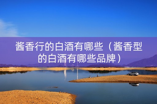 酱香行的白酒有哪些（酱香型的白酒有哪些品牌）