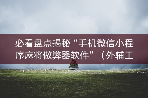 必看盘点揭秘“手机微信小程序麻将做弊器软件”（外辅工具)