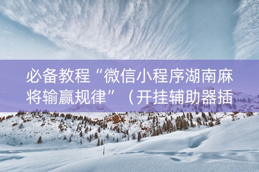 必备教程“微信小程序湖南麻将输赢规律”（开挂辅助器插件)