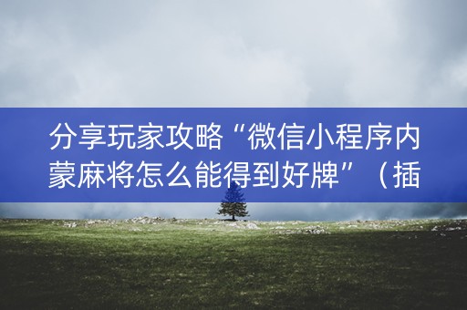 分享玩家攻略“微信小程序内蒙麻将怎么能得到好牌”（插件可信吗)
