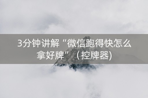 3分钟讲解“微信跑得快怎么拿好牌”（控牌器)